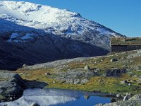 N, Sogn og Fjordane, Stryn, Videdalen 3, Saxifraga-Jan van der Straaten