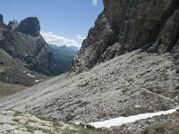 I, Sued-Tirol, Corvara, Naturpark Puez-Geisler 84, Saxifraga-Annemiek Bouwman