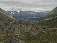 N, Innlandet, Lom, Storebreen 11, Saxifraga-Willem van Kruijsbergen