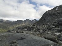 N, Innlandet, Lom, Storebreen 16, Saxifraga-Willem van Kruijsbergen