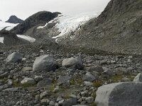 N, Innlandet, Lom, Storebreen 5, Saxifraga-Willem van Kruijsbergen