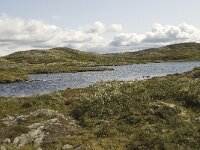 N, Innlandet, Sel, Holtjonne 1, Saxifraga-Willem van Kruijsbergen