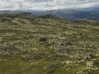 N, Innlandet, Sel, Klufttjonne 4, Saxifraga-Willem van Kruijsbergen