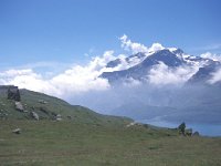 F, Savoie, Lanslebourg, Mont Cenis 2, Saxifraga-Hans Dekker