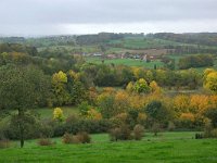 B, Limburg, Voeren, Altenbroek 1, Saxifraga-Tom Heijnen