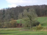 B, Limburg, Voeren, Gulpdal bij Nurop 1, Saxifraga-Tom Heijnen