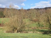 B, Limburg, Voeren, Gulpdal bij Nurop 3, Saxifraga-Tom Heijnen