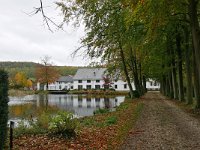 B, Limburg, Voeren, Landgoed Altenbroek 2, Saxifraga-Tom Heijnen