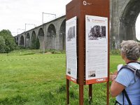 B, Limburg, Voeren, Spoorwegviaduct Sint-Martens-Limburg, Voeren 1, Saxifraga-Tom Heijnen