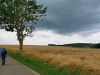 NL, Limburg, Eijsden-Margraten, Koetsweg W of Noorbeek 2, Saxifraga-Tom Heijnen