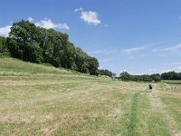 NL, Limburg, Eijsden-Margraten, Noordal N of Noorbeek 1, Saxifraga-Tom Heijnen