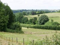 NL, Limburg, Eijsden-Margraten, S of Noorbeek 1, Saxifraga-Tom Heijnen