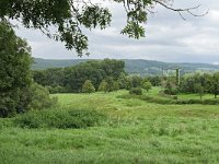 NL, Limburg, Gulpen-Wittem, Geul SE of Epen 3, Saxifraga-Tom Heijnen