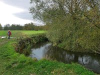 NL, Limburg, Gulpen-Wittem, Geul near Epen 1, Saxifraga-Tom Heijnen