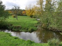 NL, Limburg, Gulpen-Wittem, Gulp N of Slenaken 1, Saxifraga-Tom Heijnen