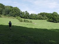 NL, Limburg, Gulpen-Wittem, Schweibergerbos 1, Saxifraga-Tom Heijnen