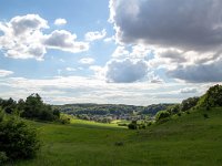 NL, Limburg, Maastricht, Sint Pietersberg 4, Saxifraga-Bart Vastenhouw