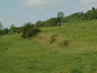 NL, Limburg, Voerendaal, Vrakelberg 2, Saxifraga-Willem van Kruijsbergen