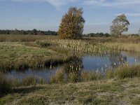 B, Limburg, Neerpelt, Hageven 6, Saxifraga-Marijke Verhagen