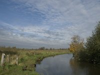 B, Limburg, Neerpelt, Hageven, Dommel 19, Saxifraga-Marijke Verhagen