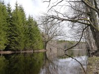 EST, Viljandimaa, Meiekose opperada in Soomaa rahvuspark 2, Saxifraga-Tom Heijnen