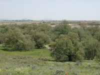 E, Ciudad Real, Daimiel, Tablas de Daimiel 4, Saxifraga-Jan van der Straaten