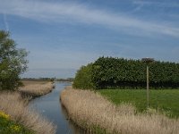 NL, Noord-Brabant, Aalburg, Oude Maasje 1, Saxifraga-Jan van der Straaten