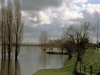 NL, Noord-Brabant, Altena, Veen 5, Saxifraga-Jan van der Straaten