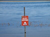 NL, Noord-Holland, Texel, De Slufter 145, Saxifraga-Foto Fitis-Sytske Dijksen