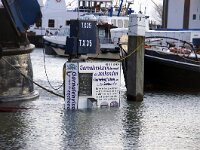 NL, Noord-Holland, Texel, Inundation, Oudeschild 29, Saxifraga-Foto Fitis-Sytske Dijksen
