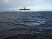 NL, Noord-Holland, Texel, Inundation, Slufter 145, Saxifraga-Foto Fitis-Sytske Dijksen