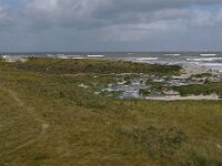 NL, Groningen, Het Hoge Land, Rottumeroog 12, Saxifraga-Mark Zekhuis