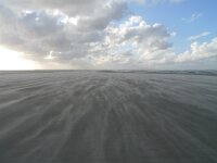 NL, Groningen, Het Hoge Land, Rottumeroog 14, Saxifraga-Mark Zekhuis