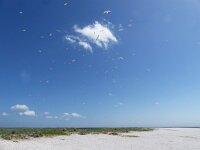 NL, Groningen, Het Hoge Land, Rottumeroog, Zuiderduin 3, Saxifraga-Mark Zekhuis