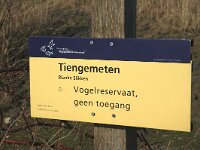 NL, Zuid-Holland, Hoeksche Waard, Tiengemeten, Blanken Slikken 8, Saxifraga-Jan van der Straaten