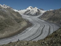 CH, Wallis, Fiesch, Groszer Aletschgletscher 2, Saxifraga-Jan van der Straaten