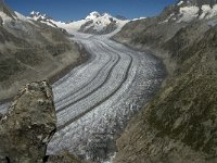 CH, Wallis, Fiesch, Groszer Aletschgletscher 3, Saxifraga-Jan van der Straaten