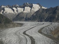 CH, Wallis, Riederalp, Gross-Wannenhorn 1, Saxifraga-Willem van Kruijsbergen