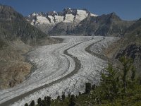 CH, Wallis, Riederalp, Grosser Aletschgletscher 11, Saxifraga-Willem van Kruijsbergen