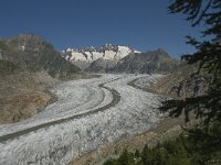 CH, Wallis, Riederalp, Grosser Aletschgletscher 44, Saxifraga-Willem van Kruijsbergen