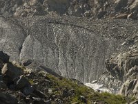 CH, Wallis, Saas Fee, Feegletscher 95, Saxifraga-Willem van Kruijsbergen