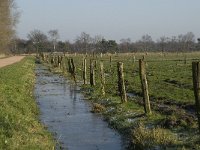 B, Antwerpen, Merksplas, Koekhoven, Zandvenheide 10, Saxifraga-Willem van Kruijsbergen