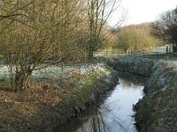 B, Antwerpen, Merksplas, Papenvoortsebrug 5, Saxifraga-Willem van Kruijsbergen