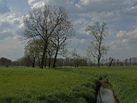 B, Antwerpen, Rijkevorsel, Bolkse Brug 5, Saxifraga-Willem van Kruijsbergen