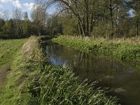 B, Limburg, Kinrooi, Abeek 11, Saxifraga-Jan van der Straaten