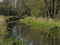 B, Limburg, Kinrooi, Abeek 13, Saxifraga-Jan van der Straaten