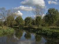 B, Limburg, Kinrooi, Abeek 8, Saxifraga-Jan van der Straaten