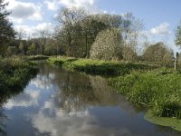 B, Limburg, Kinrooi, Abeek 9, Saxifraga-Jan van der Straaten