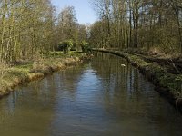 B, Limburg, Kinrooi, Abeek, Stramprooierbroek 3, Saxifraga-Jan van der Straaten