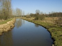 B, Limburg, Kinrooi, Abeek, Stramprooierbroek 5, Saxifraga-Jan van der Straaten